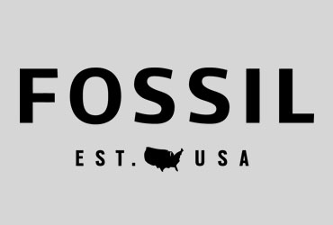 Fossil 370x250